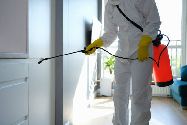 Best Mold Remediation for Healthcare Facilities  in Munster, IN